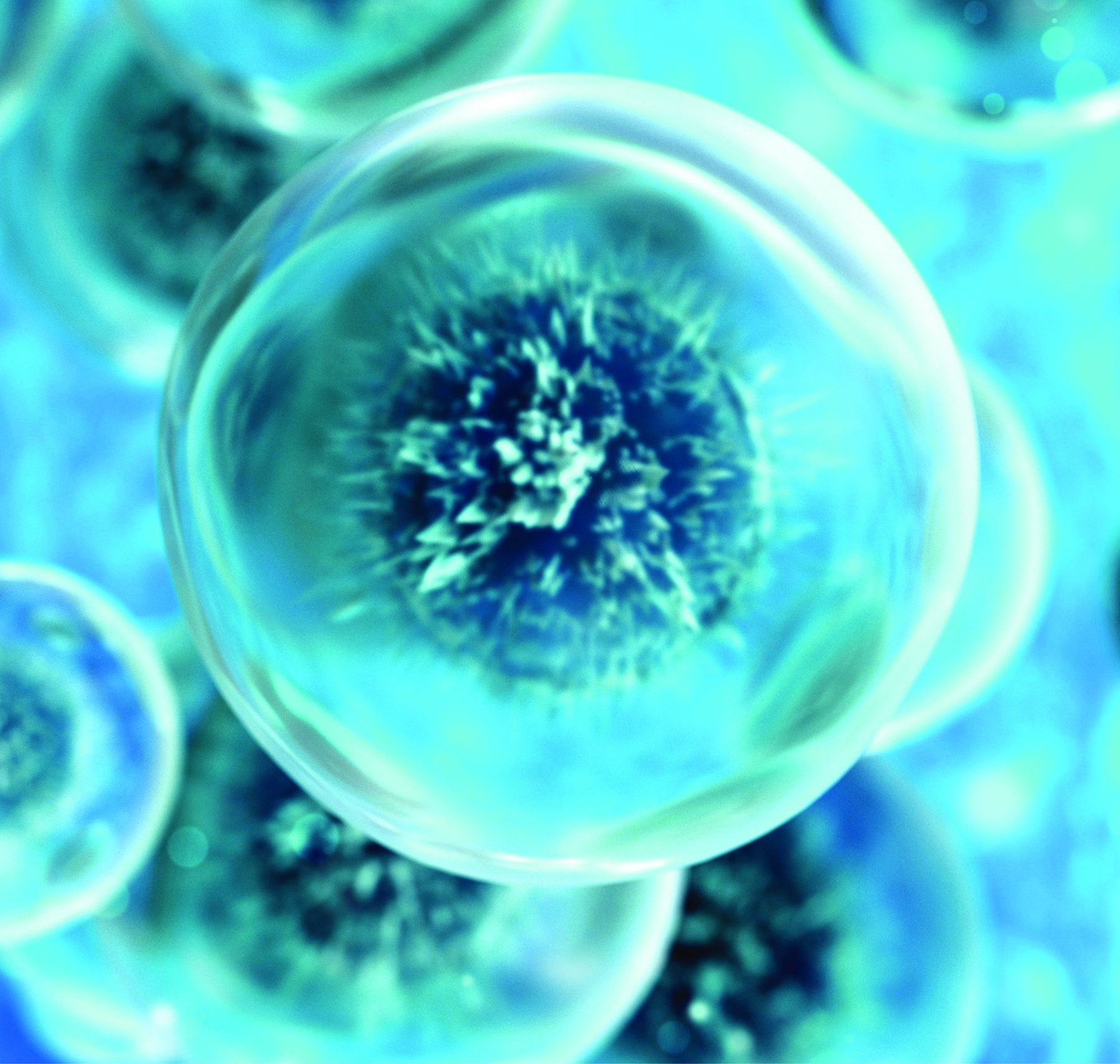 Microscopic view of cells
